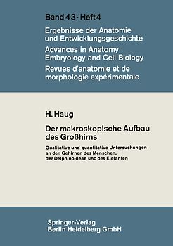 Der makroskopische Aufbau des Großhirns