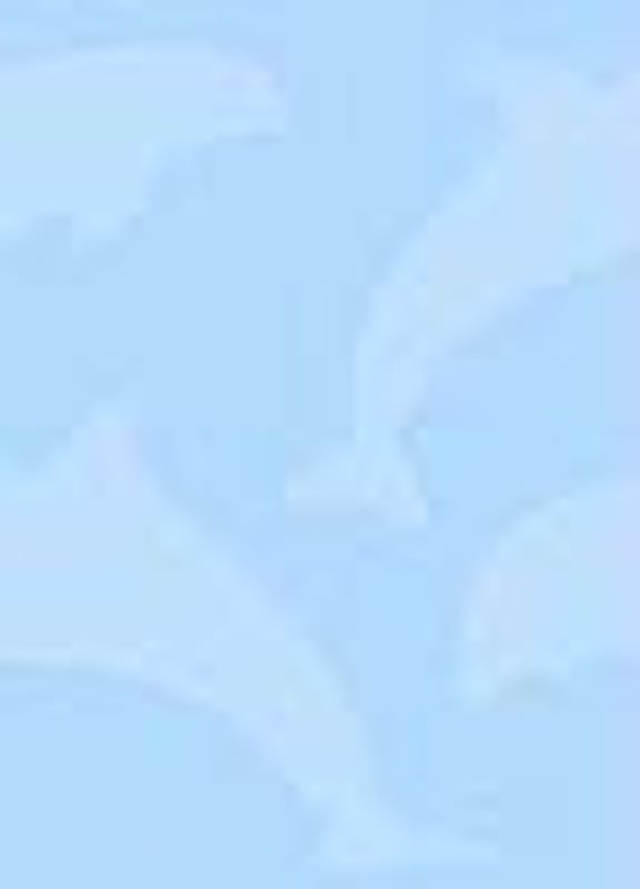 Dein Schicksal aus den Karten. Kartenset 32 Karten passend zum Buch das unter gleichnamigen Titel im Arche Noah Verlag erschienen ist.