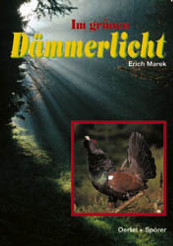 Im grünen Dämmerlicht