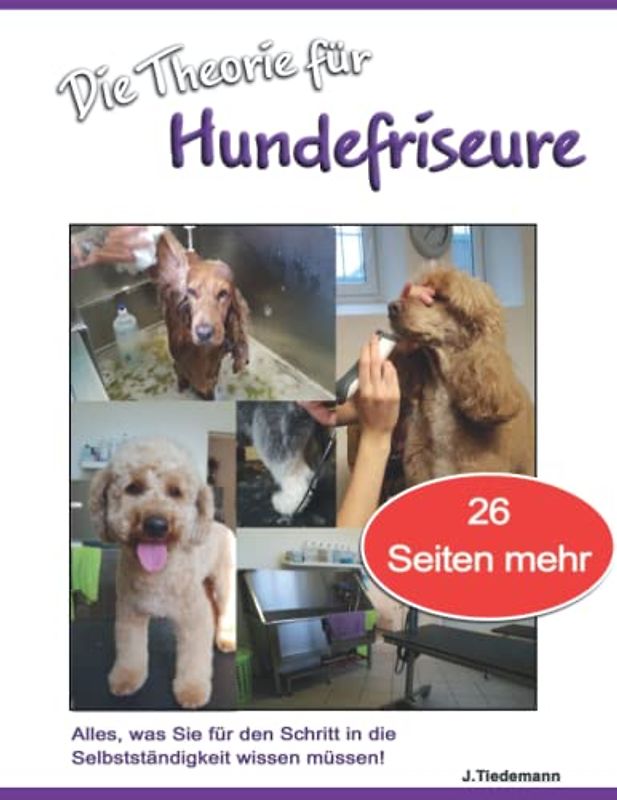 Die Theorie für Hundefriseure: Alles, was Sie für den Schritt in die Selbstständigkeit wissen müssen!