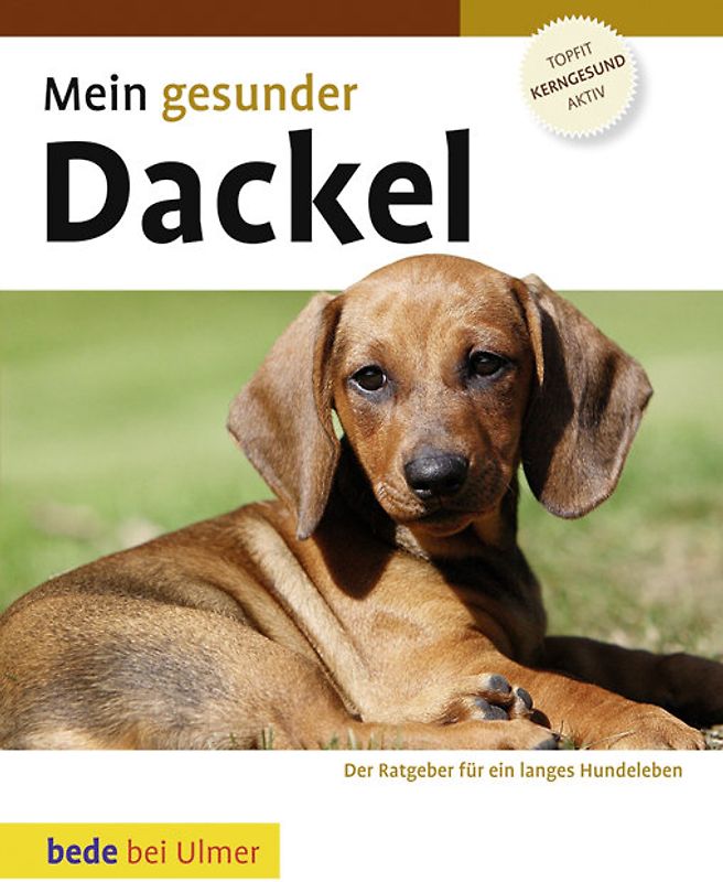 Mein gesunder Dackel