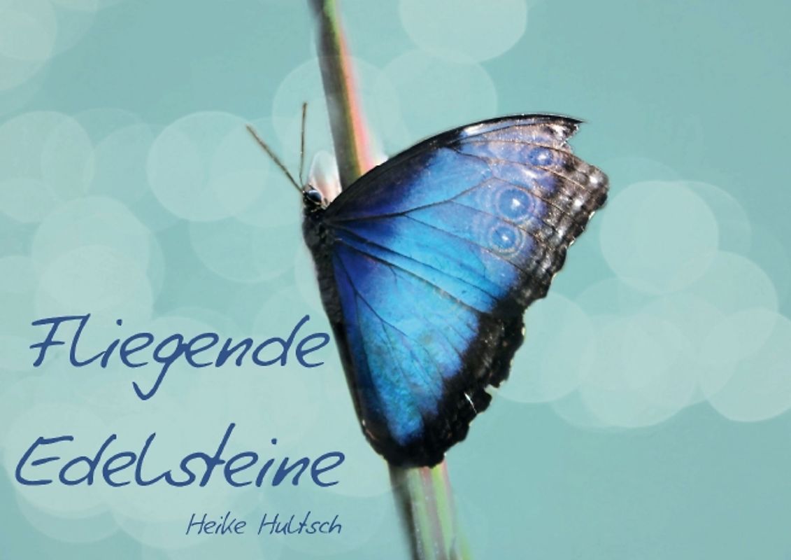 Fliegende Edelsteine (Posterbuch DIN A3 quer)