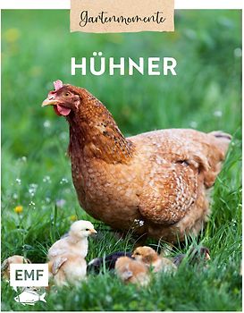 Gartenmomente: Hühner
