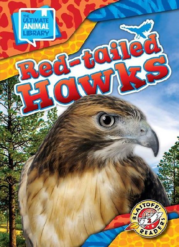 Red-Tailed Hawks