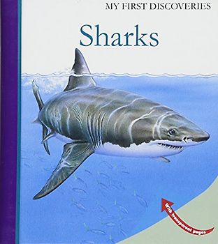 Sharks (My First Discoveries, Band 45)