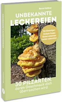 Unbekannte Leckereien: 30 Pilzarten, deren Geschmack dich überraschen wird