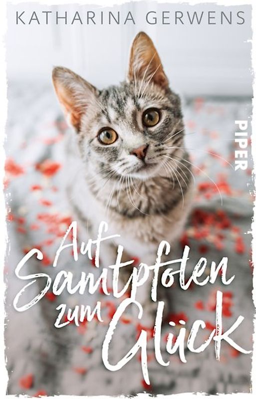 Auf Samtpfoten zum Glück