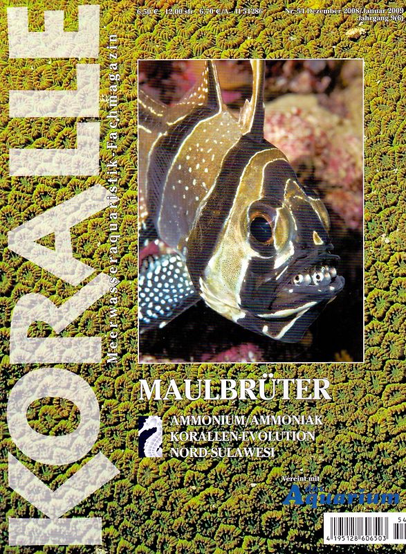 Koralle 54/2008: Maulbrüter