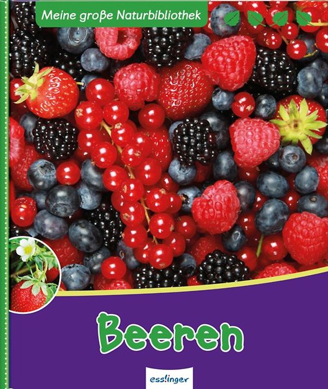 Meine große Naturbibliothek: Beeren
