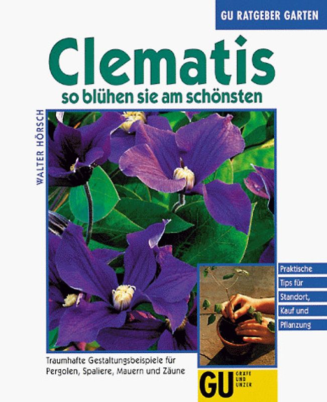 Clematis so blühen sie am schönsten