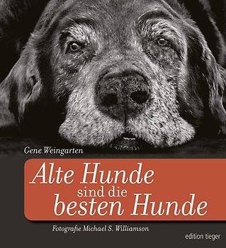 Alte Hunde sind die besten Hunde