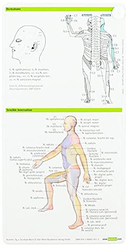 Neurologie pocketcard Set