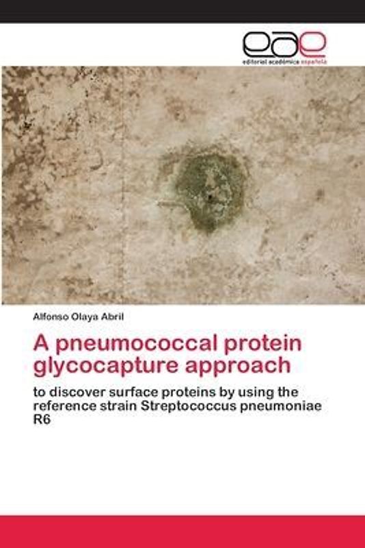 A pneumococcal protein glycocapture approach