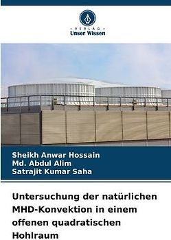 Untersuchung der natürlichen MHD-Konvektion in einem offenen quadratischen Hohlraum