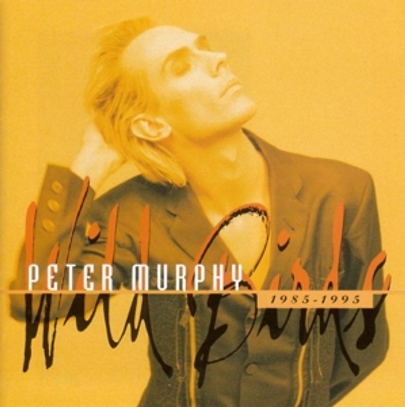 Peter Murphy - Wild Birds