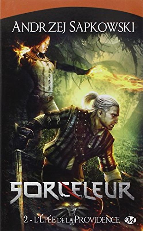 Sorceleur, Tome 2 : L'épée de la providence