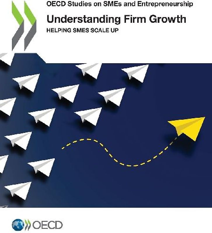 Understanding Firm Growth
