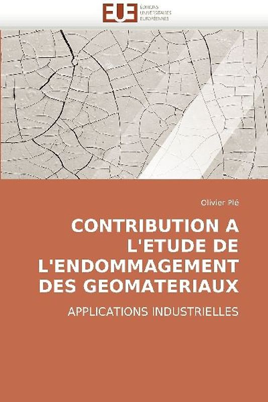 CONTRIBUTION A L''ETUDE DE L''ENDOMMAGEMENT DES GEOMATERIAUX