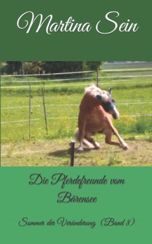 Die Pferdefreunde vom Bärensee: Sommer der Veränderung