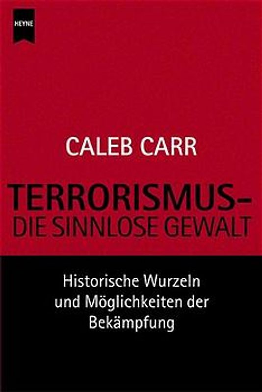 Terrorismus - die sinnlose Gewalt