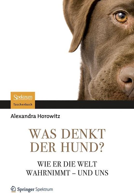 Was denkt der Hund?