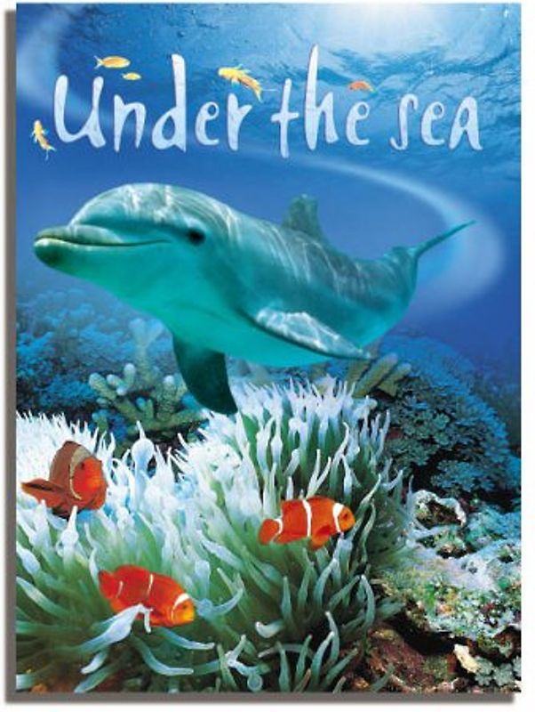 Caterpillars and Butterflies (Beginners) - Turnbull, Stephanie