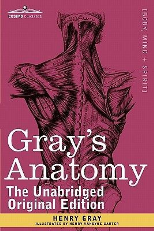 Gray's Anatomy