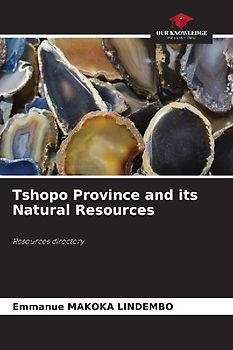 Tshopo Province and its Natural Resources