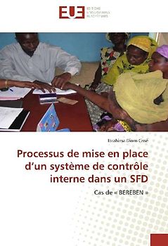 Processus de mise en place d'un système de contrôle interne dans un SFD