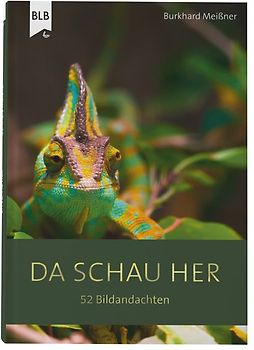 Da schau her