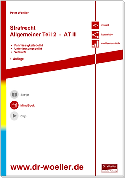 MindBook - Strafrecht Allgemeiner Teil - AT II