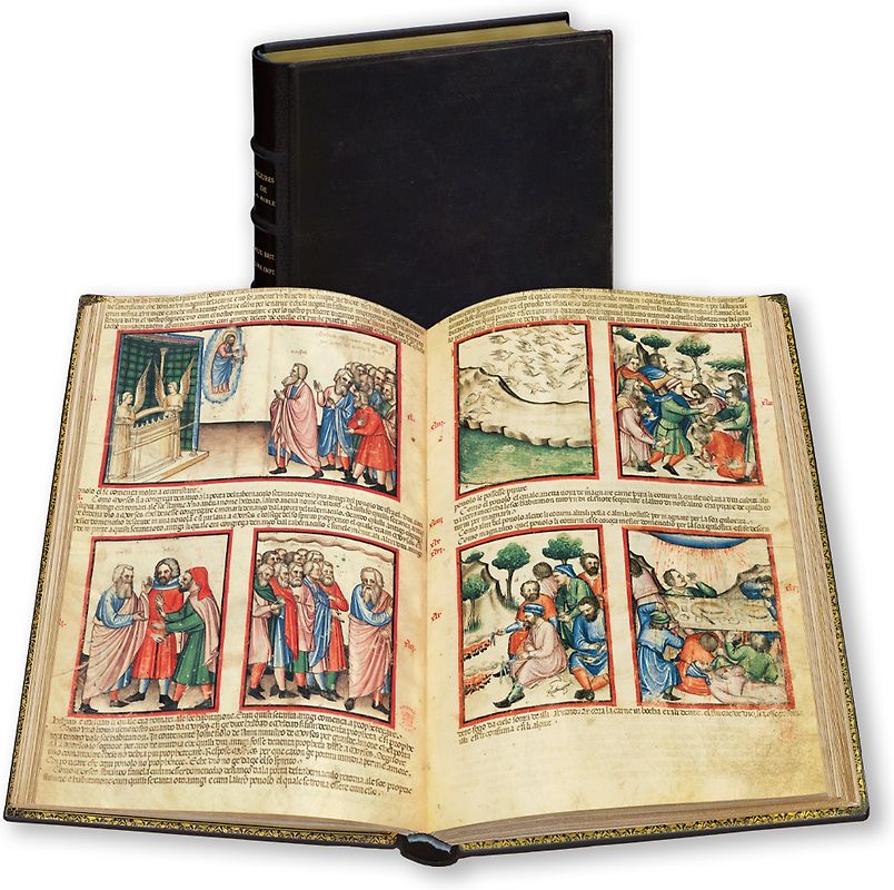 Die Bilderbibel aus Padua