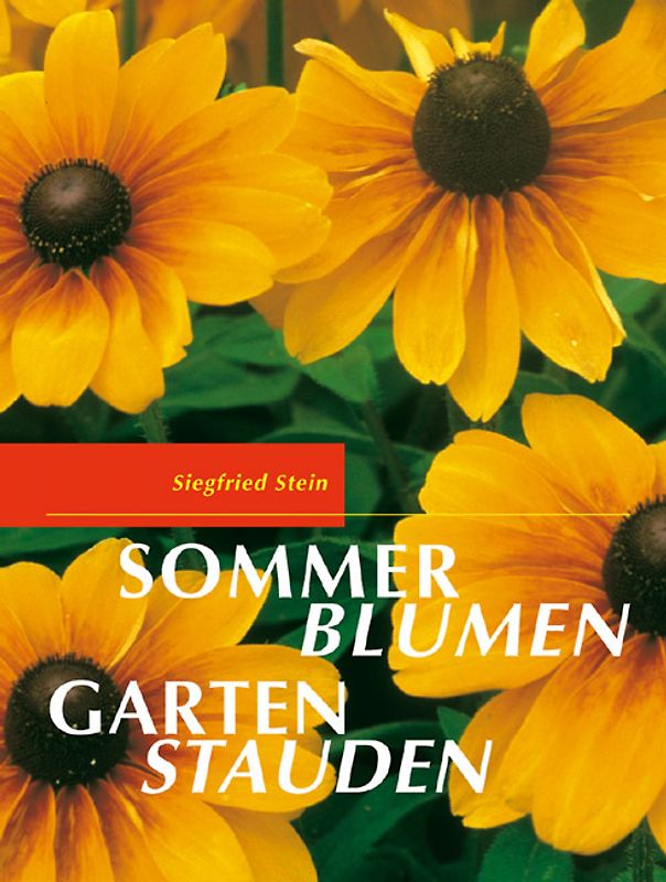 Sommerblumen, Gartenstauden
