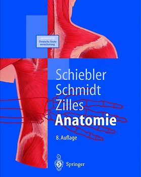 Anatomie