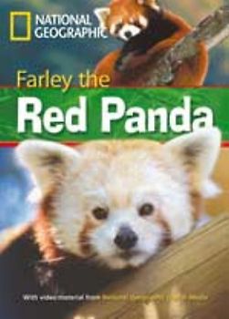 Farley the Red Panda