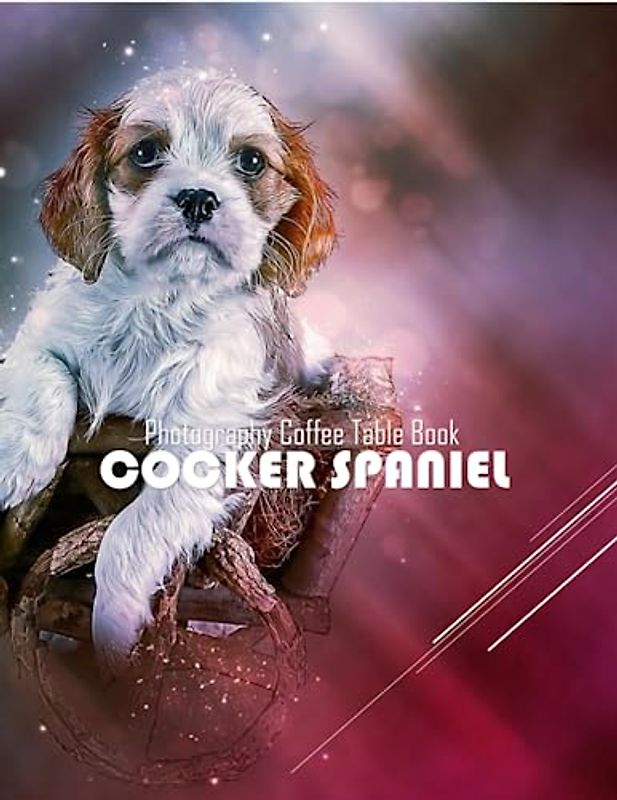 COCKER SPANIEL Photography Coffee Table Book: Cocker Spaniel : 40 Cute Images of these Adorble and lively Dogs - Perfect Gift for all, Coffee Table Book Paperback – June 11,2023.