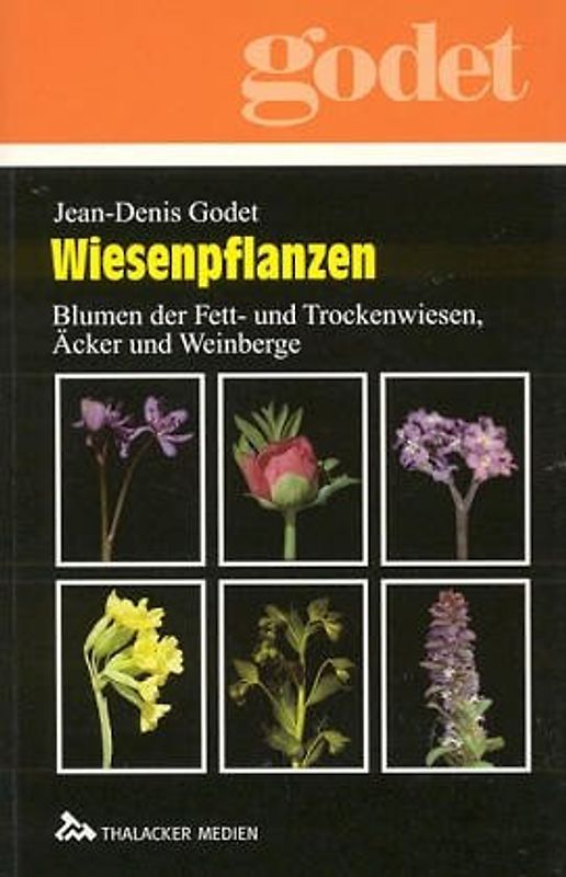 Wiesenpflanzen. Blumen der Fett- und Trockenwiesen, Äcker und Weinberge