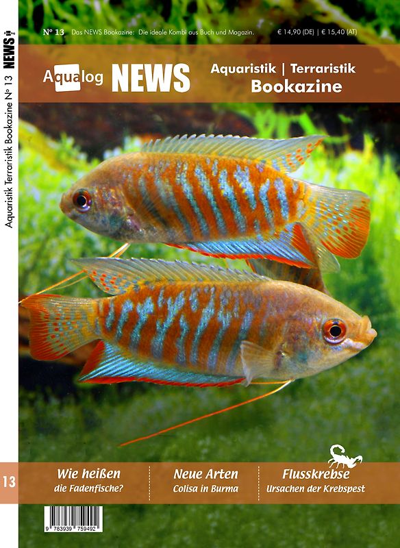 News Bookazine Nr.: 13 (Herbst 2023)