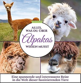 Alles, was du über Alpakas wissen musst