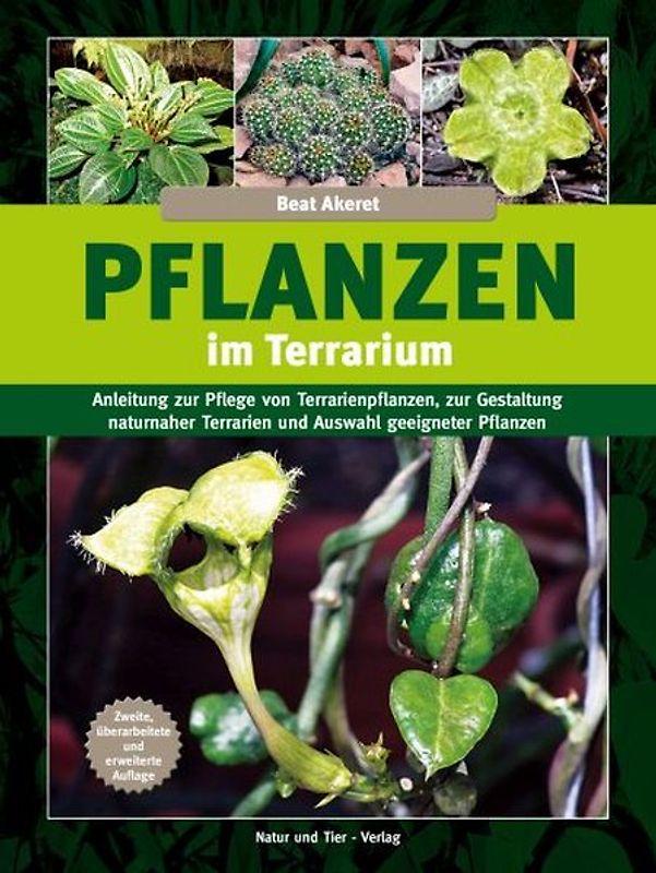 Pflanzen im Terrarium