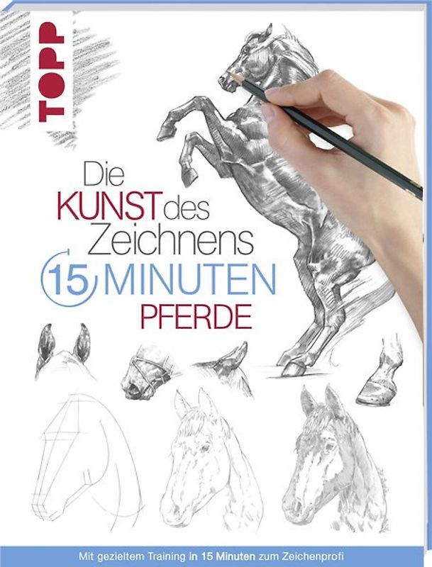 Die Kunst des Zeichnens 15 Minuten - Pferde
