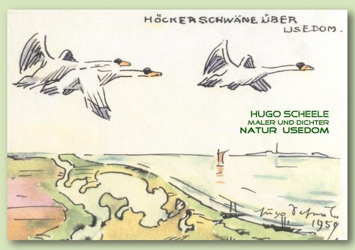 Hugo Scheele Natur Usedom