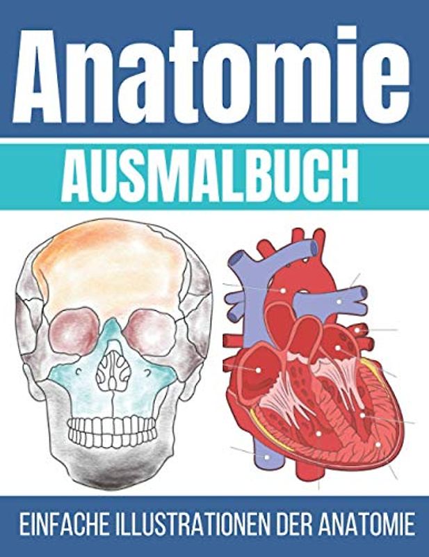 Anatomie Ausmalbuch: Einfache Illustrationen der Anatomie