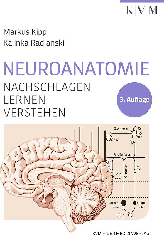 Neuroanatomie