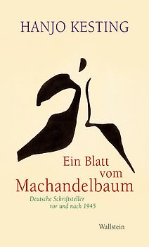 Ein Blatt vom Machandelbaum