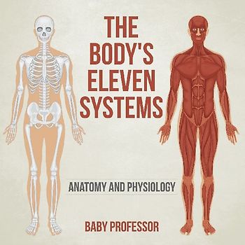 The Body's Eleven Systems | Anatomy and Physiology
