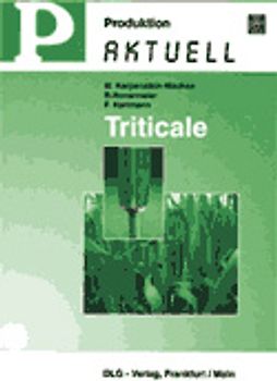 Triticale