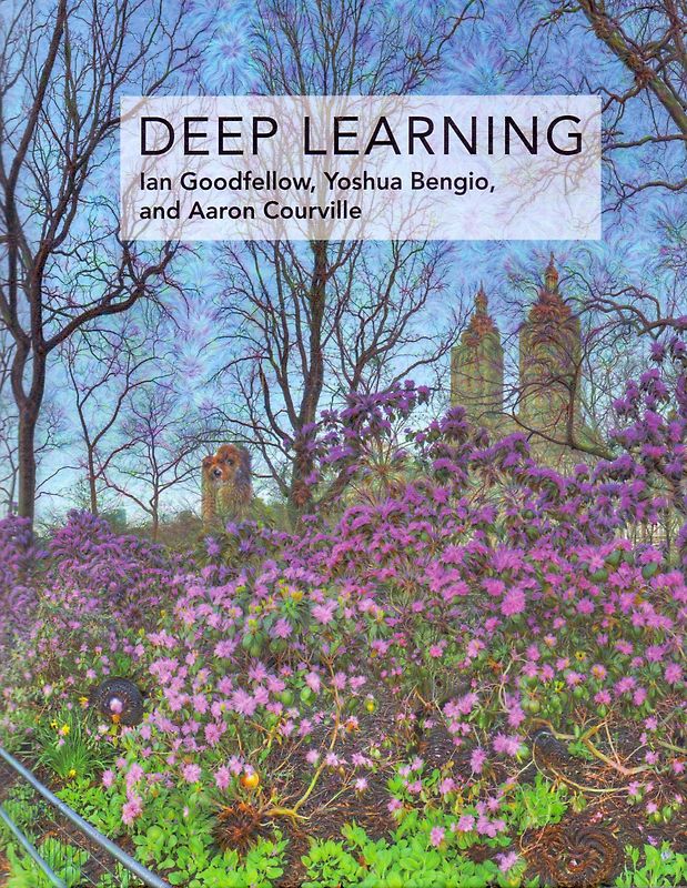 Deep Learning - Ian Goodfellow [Hardcover]