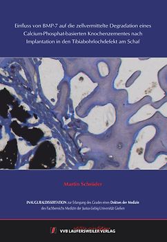 Einfluss von BMP-7 auf die zellvermittelte Degradation eines Calcium-Phosphat-basierten Knochenzementes nach Implantation in den Tibiabohrlochdefekt am Schaf