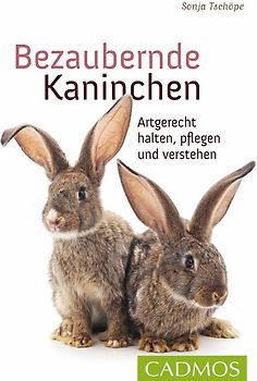 Bezaubernde Kaninchen